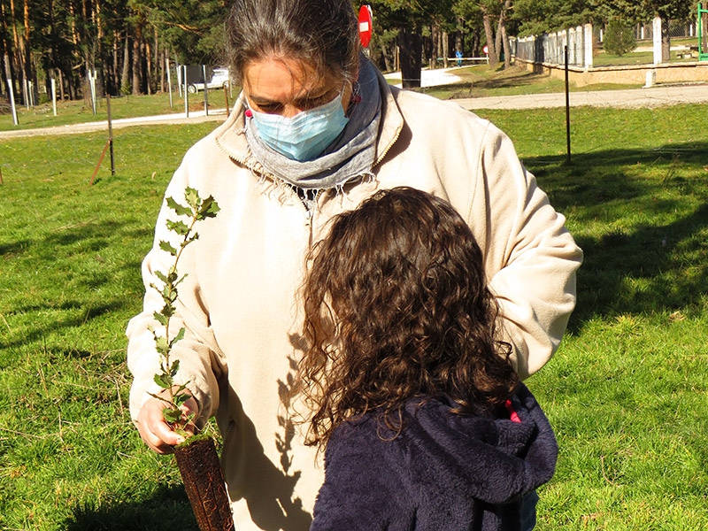 XV Concurso de Relatos y/o Dibujos para celebrar el Día Forestal Mundial