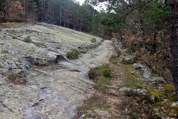 Excursión a la Fuente el Salobral 